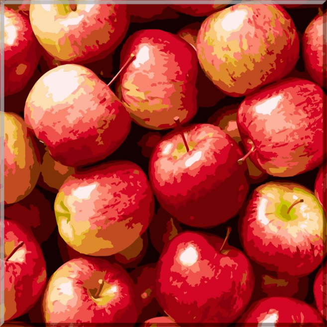 모모픽스페인팅 DIY명화그리기 40x40cm, 1개