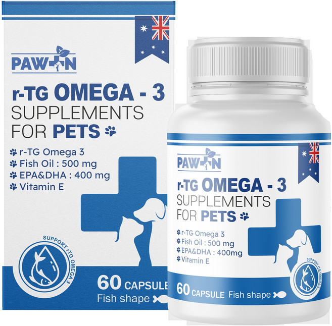 [호주정품직구] 포앤 강아지 고양이 알티지 오메가-3 두뇌 건강 영양제 DHA + EPA PAW N r-TG OMEGA-3, 1개, 오메가3, 60정