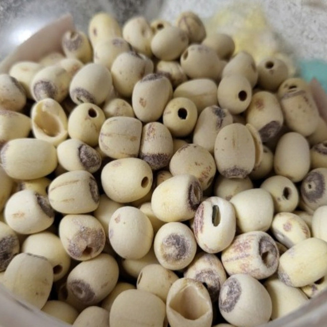 부드럽고 고소한 자연의 맛 말린 건조 거피 연꽃씨 통 연자육, 1세트, 900g