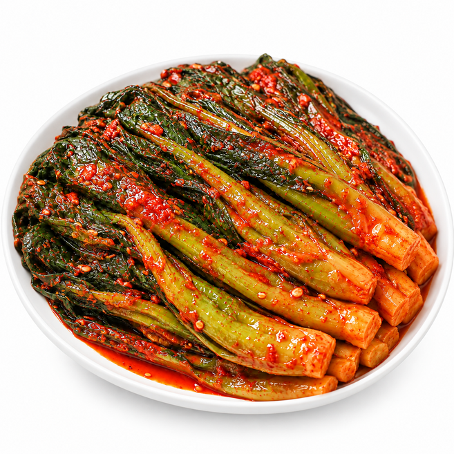 농부직접수확 전재료 100%국산 여수돌산 갓김치, 1박스, 3kg