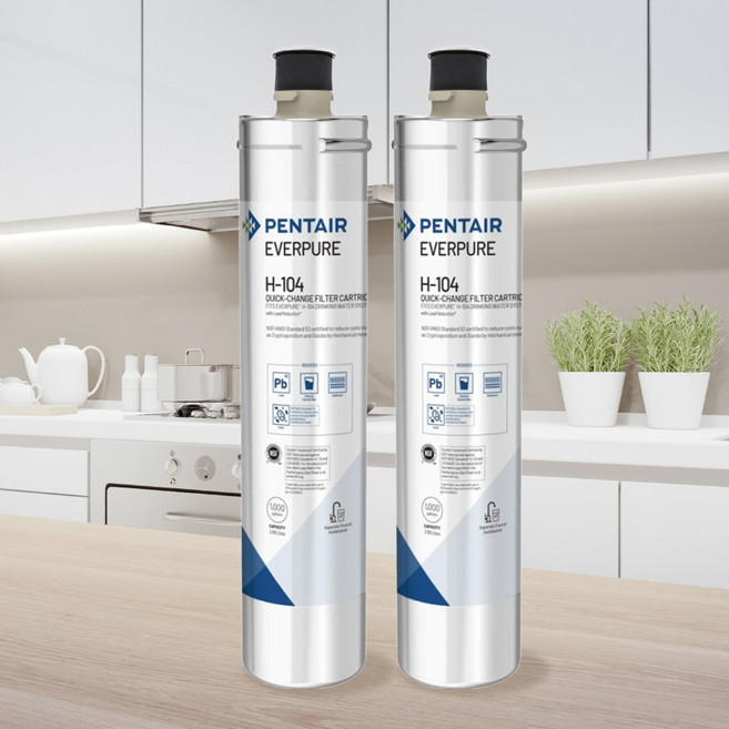 EVERPURE H-104濾心 原裝進口 有效濾除雜質 黑水保固 飲水更安心, 1個, 雙入裝(售出無保固, 雙入裝(售出無保固