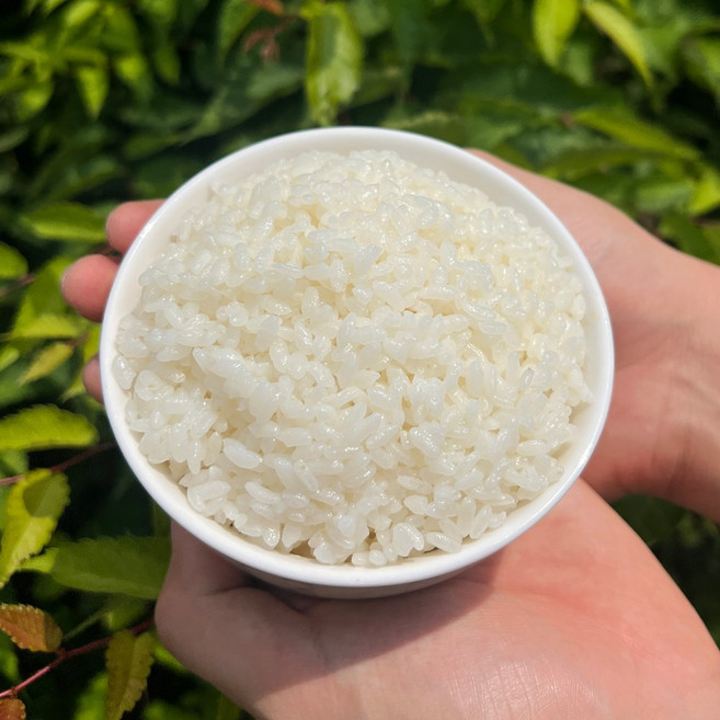2025년산 백미 2kg 4kg 10kg 당일도정 햅쌀, 1개