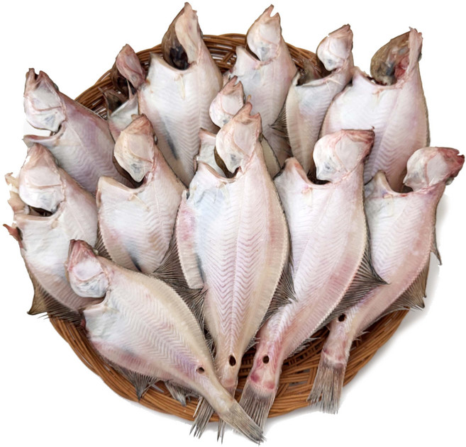 속초반건조생선 국산 어구가자미 1kg 어귀 참가자미 동해안 속초직송, 1개