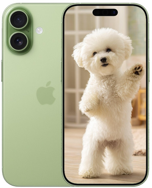 i폰17 미개봉 새상품, 256GB, 옵션명 아이폰 세이지