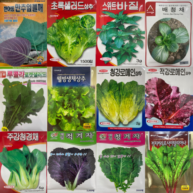쌈채소 씨앗 100종 로메인 치커리 샐러드용 상추 버터헤드 샐러리 깻잎 바질 케일 청경채, 62.선향적축면8g, 1개