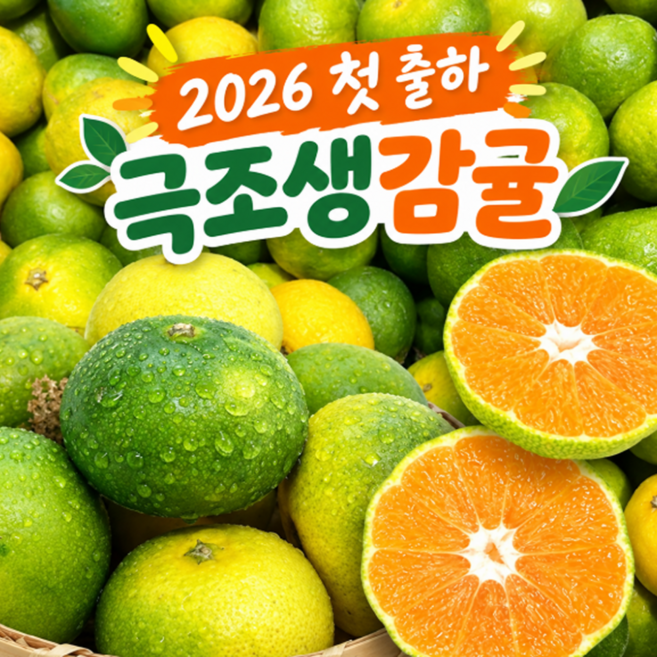 [2026첫출하] 새콤달콤 고당도 극조생 감귤, 1박스, 로얄과 3kg
