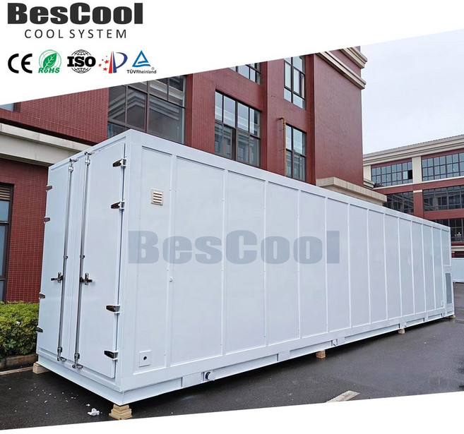 20피트 모바일 얼음 냉동고 룸 아이스 블록 냉장 컨테이너용 상업용 냉장실 장비, Other, CN, 70 C 50 C