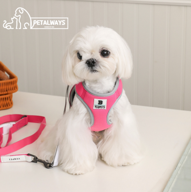 펫올웨이즈 기본형 통풍 강아지 하네스 리드줄 세트, 핑크