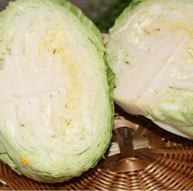 양배추(특)3통 10kg내외 1망 자연대로팜웨이, 10kg 내외(특), 1개