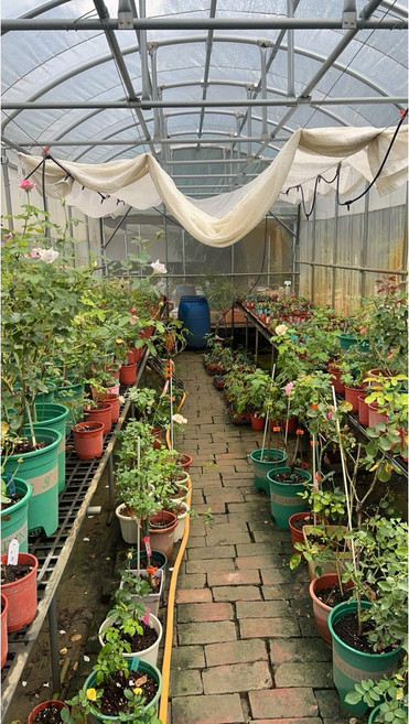羊糞有機肥堆肥天然有機輔助植物肥, 1個, 5公升