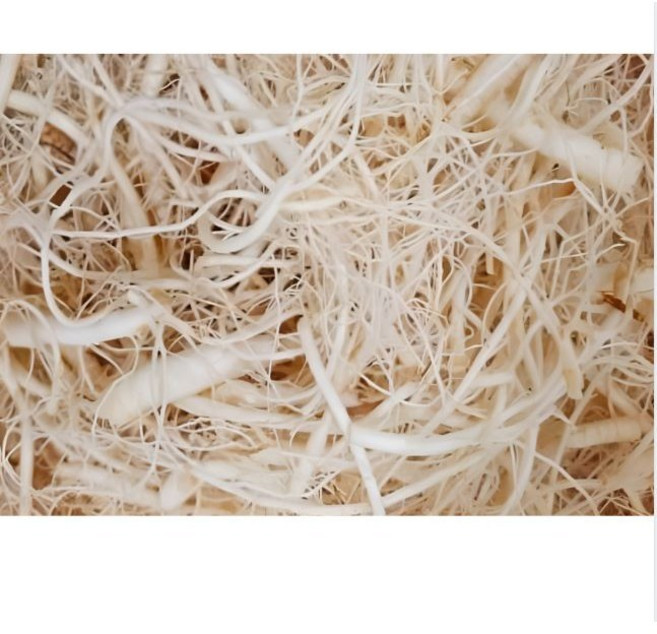 금산인삼 미삼 세척인삼 뿌리삼 파삼 미삼잔뿌리 1kg, 1개