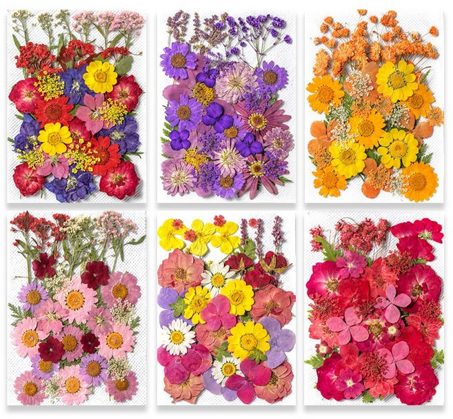 압화 드라이플라워 B형 세트 꽃 공예 꾸미기 플라워 장식 만들기, 10.보랏빛 화원 B형(1세트)