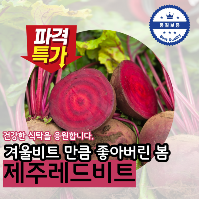 강태휴농부 제주 고산 레드비트 3 5 10kg 혼합, 1개