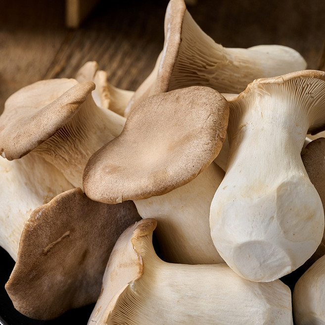 자연진리국내산 새송이버섯 미니 상품 특품, 2kg 상