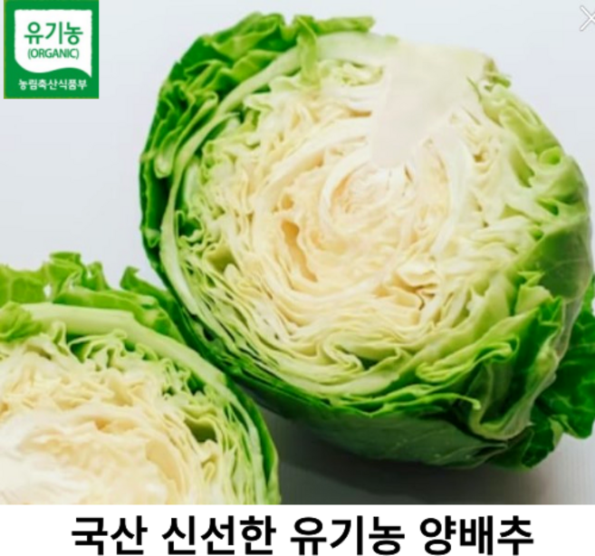 국내산 무농약 양배추 국산 싱싱한 양배추 이유식 다이어트식단, 5kg, 1개