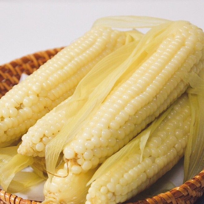 국내산 무주 대학 찰옥수수, 15개