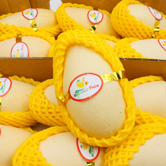 제스완 태국항공 직송 남독마이 골드망고, 1세트, 5kg