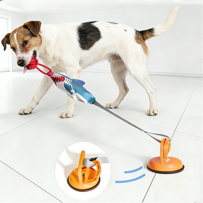 터그놀이 흡착식 강아지 로프 이갈이 장난감, 1개, 흡착식 상어 스타일 - 쿠팡