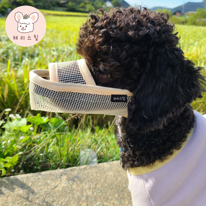 해리스힐 초경량 원버튼 메쉬 입마개 XXS, 1개, 모던베이지