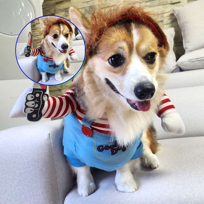 쌍문상회 지금 필요한 강아할로윈 처키 코스튬 부품 애견 파츠 옷 자재 M 소모품 31872EA, 본상품