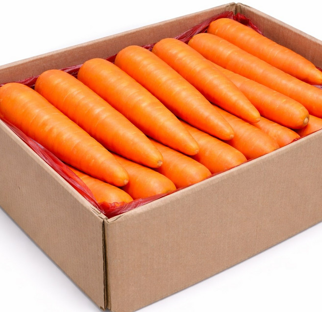 수입 당근 10kg 대용량 업소용 식당, 1개
