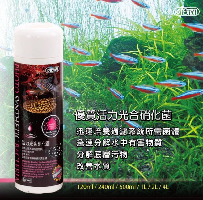 帥哥水族【ISTA伊士達】優質活力光合硝化菌 培菌 硝化菌 快速分解 快速培菌 細菌屋 過濾 水質處理, 1個, 120ml