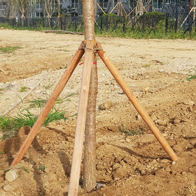 지주목(삼발이)55mm210cm 1조(3개)-1개 조경 지주자재, 지주목(삼발이) 55mm 210cm 1조(3개), 1개