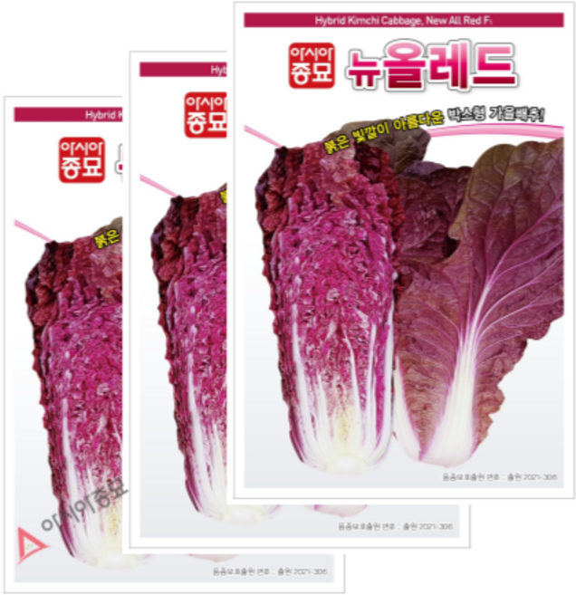 아시아종묘 씨앗 배추 뉴올레드 100립, 3개