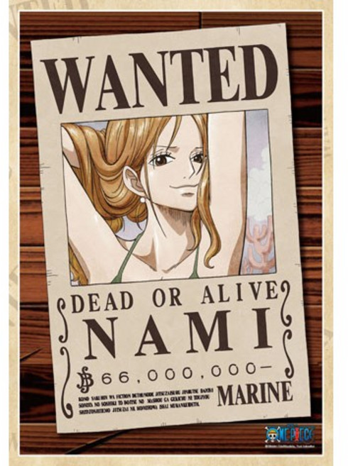 학산문화사 원피스 나미 NEW 현상수배서 150피스 직소퍼즐액자 HS165115, 퍼즐만, 1개