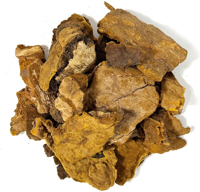 갑당약초 상황버섯 500g, 1kg, 1개