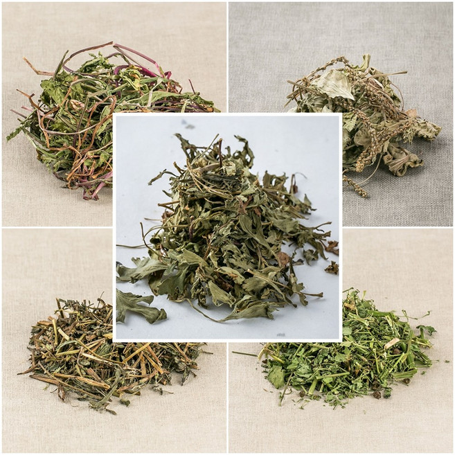 고품질 국산 약초 건조 말린 민들레(포공영) 차전초(질경이) 한련초 구절초 까마중(용규잎) 차 효능, 국산 한련초 300g, 1개