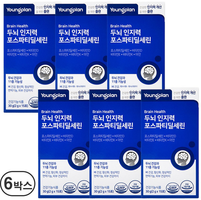 영진약품 두뇌 인지력 포스파티딜세린 분말 식약청인증, 30g, 6박스
