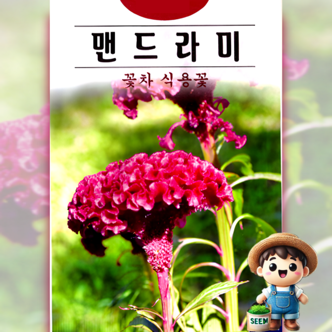 KS종묘 맨드라미 1000립 꽃차 식용꽃 일년생 꽃씨 씨앗 종자, 1개