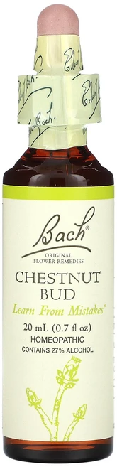 Bach Original Flower Remedies Chestnut Bud 0.7 fl oz 20 ml, Bach, Original Flower Remedies, 1개, 20ml - 쿠팡