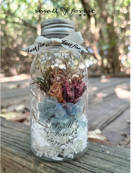 small forest 微森林 乾燥花瓶 迷你永生花束 節慶禮物 居家擺飾, 玫瑰藍繡球3(無禮盒、無燈串)