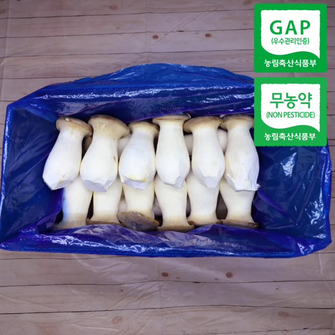 [친환경 무농약 GAP] 국내산 새송이버섯, 1개, 정품 1kg 상