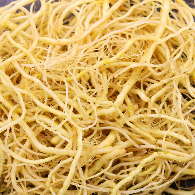 씀바귀 나물 국내산 채취 한방 약재 약초, 1개