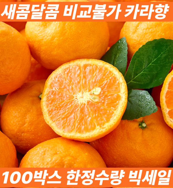 [유통마진제로] 오늘수확 레드향 다음 국내산 제주 카라향 산지직송, 1박스, 2kg