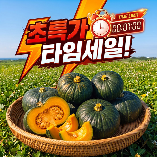 9위 - [오늘만초특가] 제주 미니 밤호박 보우짱, 1박스, 10kg
