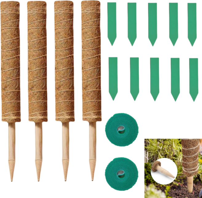 케이엠 식물지지대 몬스테라 수태봉세트 50cm 4개, 3종세트