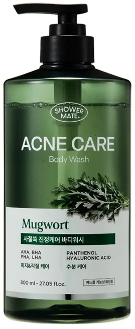샤워메이트 사철쑥 아크네 케어 바디워시, 800ml, 1개 - 쿠팡