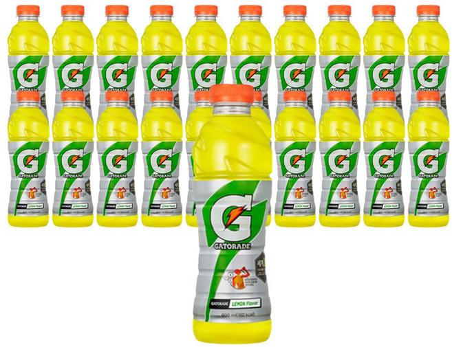 제트스카이 롯데칠성음료 게토레이, 600ml, 20개