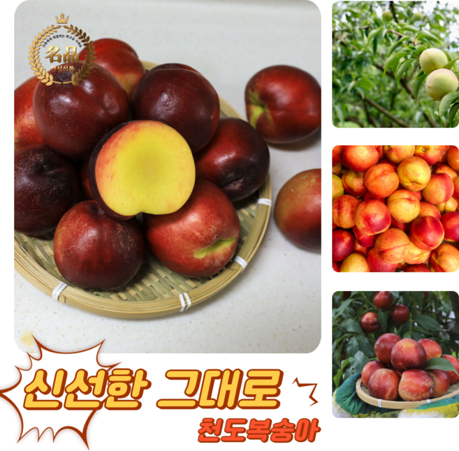 [굿피플] 꿀당도 천도(신선)복숭아 복숭아 제철천도(신선)복숭아, 1개, 천도복숭아(신선) 2kg 10-13과