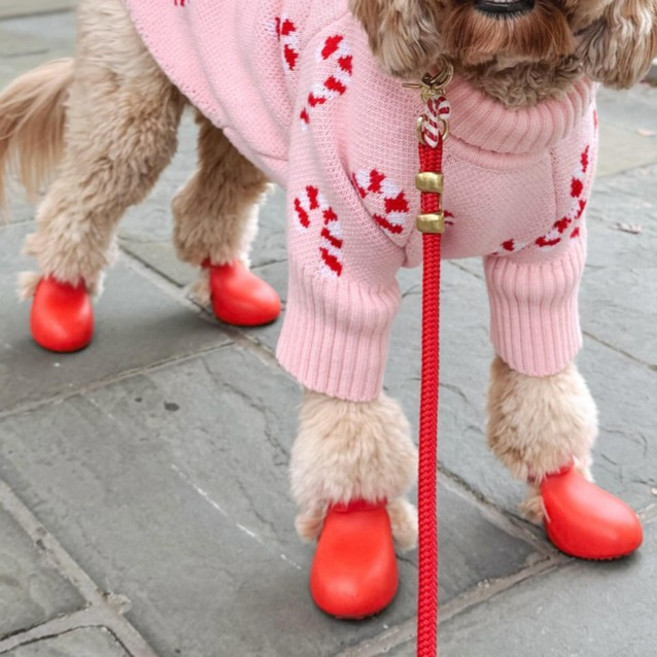 [한국공식총판] 와그웨어 오리지널 와그웰리스, 1개, 본