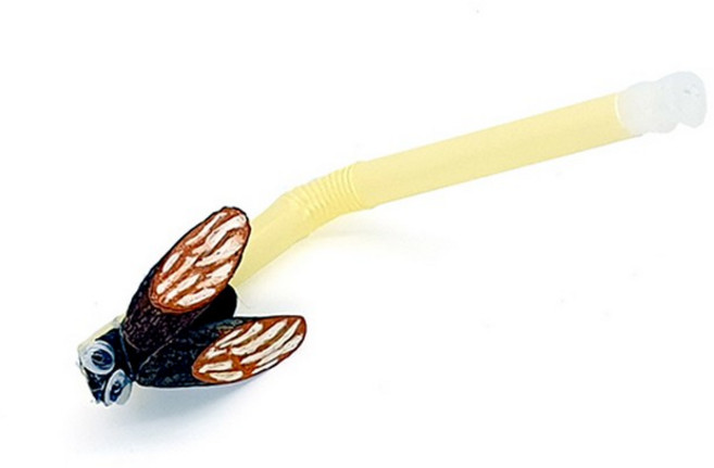 풀피리 만들기/매미, 단품, 단품