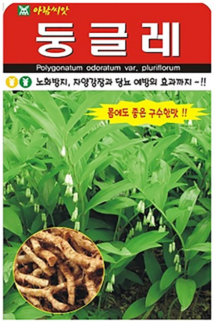 둥글레 씨앗 20립 황정 노화 자양강장 당뇨 토종 재래종 국산 종자, 1개
