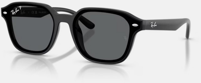 Ray-Ban 雷朋 RB4458D 方形偏光太陽眼鏡 601/81