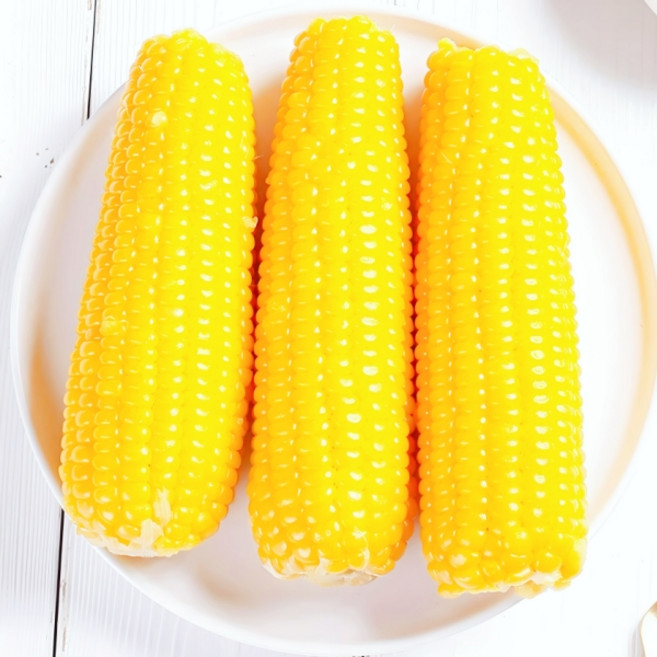 맛좋은 황찰옥수수 20개 노란옥수수, 1박스, 황찰대 20개5.5kg