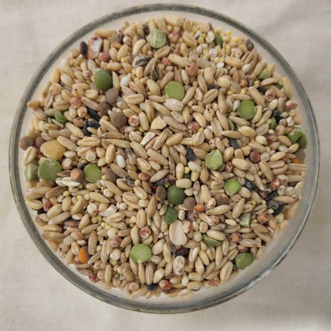 [정성든]발아혼합 22곡 5kg-오곡밥 오곡쌀 잡곡 혼합곡, 1개, 5kg