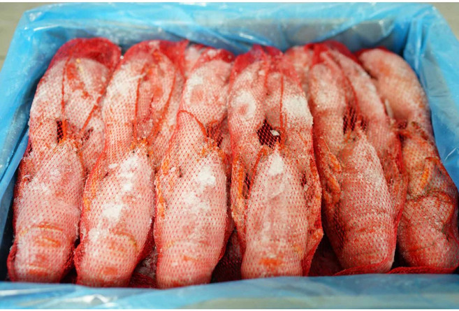 캐나다 직수입 자숙 랍스터 400-450g 10마리 냉동 랍스타, 1개, 4~4.5 kg